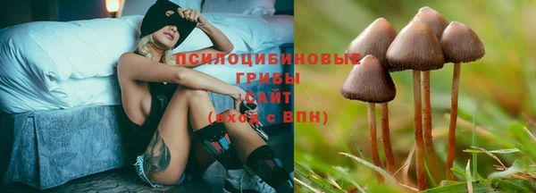 бошки Арсеньев