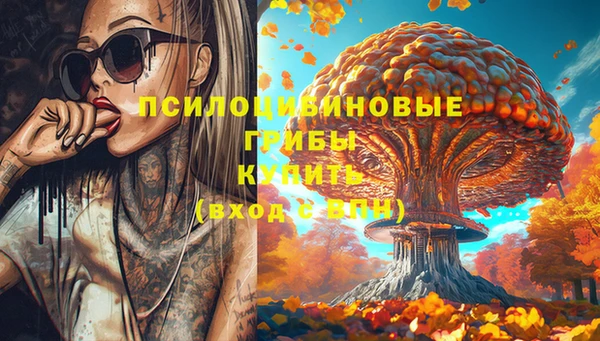 бошки Арсеньев