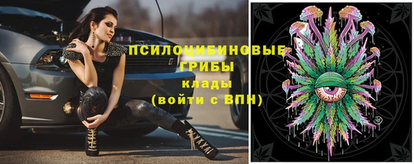 бошки Арсеньев