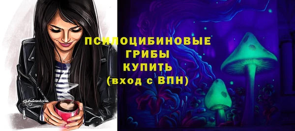 бошки Арсеньев