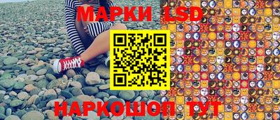 дмт Краснодар