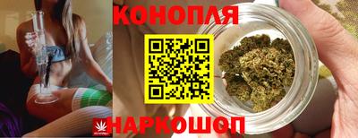a pvp Краснознаменск