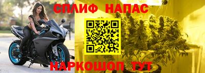 дмт Краснодар