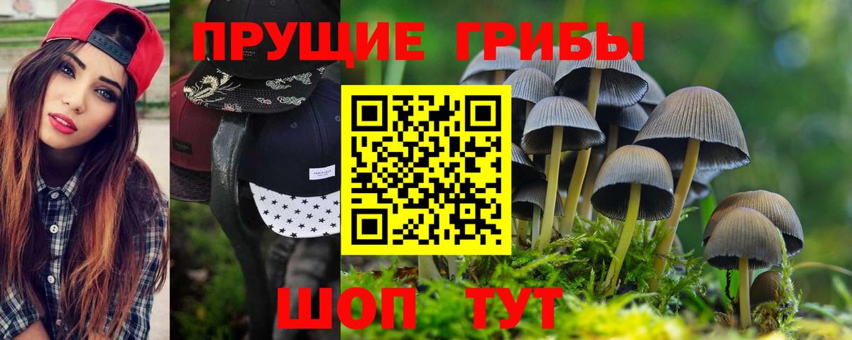 Псилоцибиновые грибы мицелий  Галлюциногенные грибы ЛСД  Жуковский  где купить наркоту  Вход с VPN 